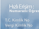 Hızlı Erisim1