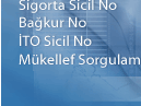 Hızlı Erisim3